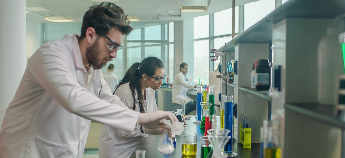 Investigadores de la UPCT impulsan acciones para disminuir la alta tasa de desempleo de los universitarios de Egipto, Jordania y Argelia